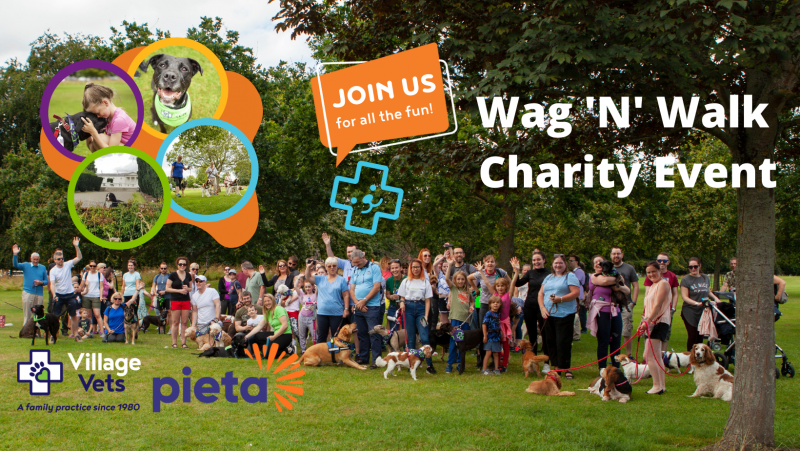 wag n walk, charity, event