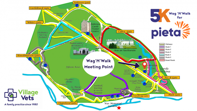 wag n walk, charity, event,pieta walk phoenix park