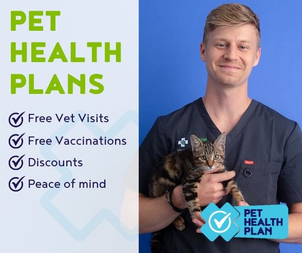 pet plan, free vet