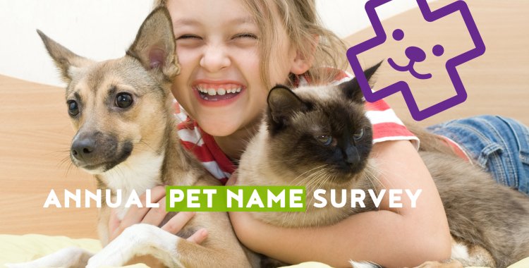 pet name survey